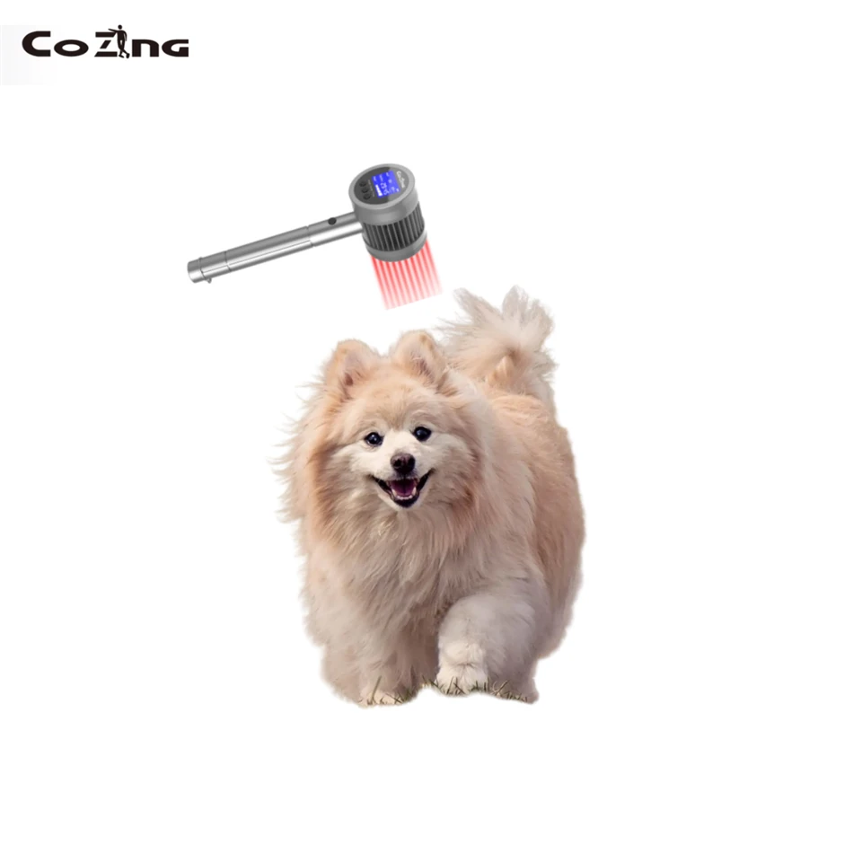 Pet Laser Therapy At Home