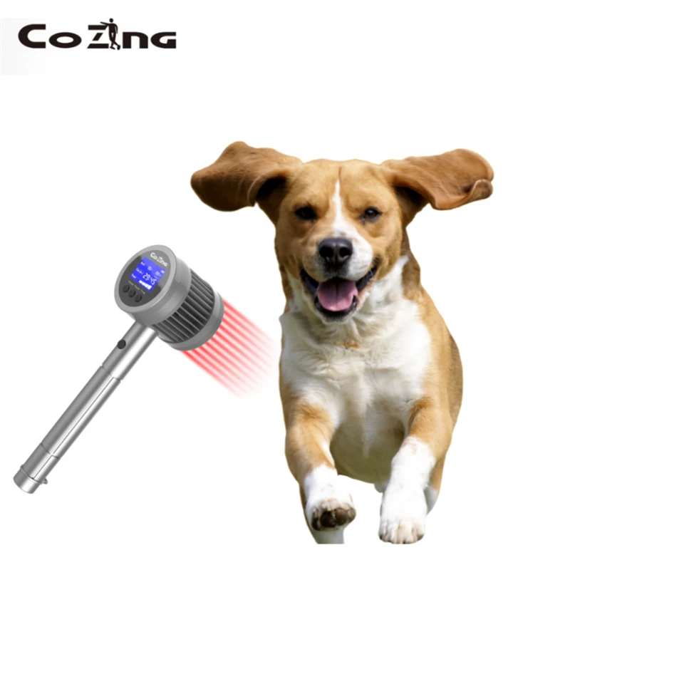 Cold Laser Therapy Device Professional
