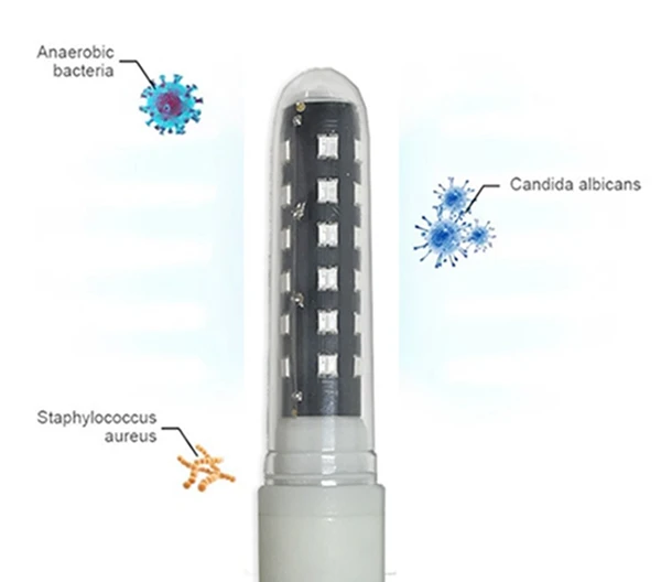Pelvic Floor Red Light Therapy